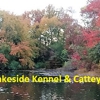 Lakeside Kennel & Cattery gallery