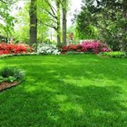 Lawn care, Landscaping, and Maintenance by New Renovations