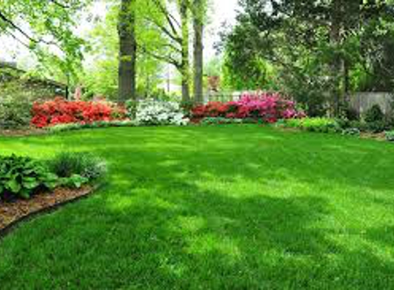 Lawn care, Landscaping, and Maintenance by New Renovations - Angleton, TX