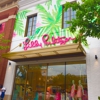 Lilly Pulitzer gallery