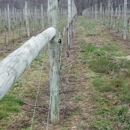 Turkey Point Vineyard - Wineries