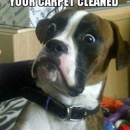 Midwest Carpet Care - Carpet & Rug Cleaners