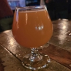 Witchdoctor Brewing Company gallery