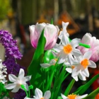 Funeral Wreath Shop