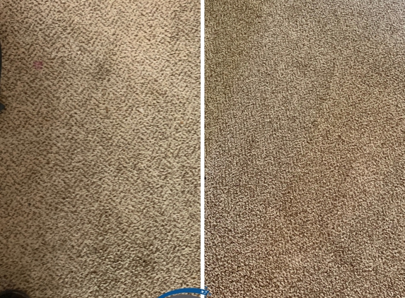 SaniClean Dry Carpet Cleaning - Des Moines, WA