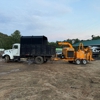 Affordable Tree Care gallery
