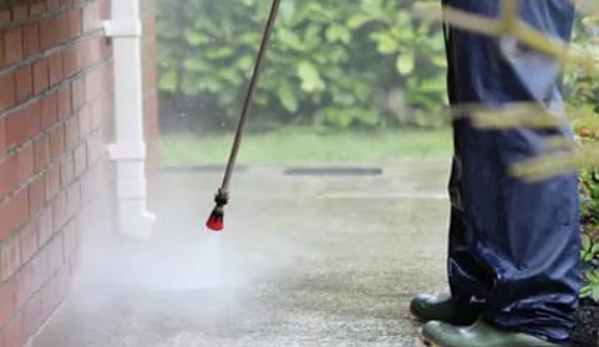 Abelia Cleaning