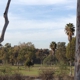 Chula Vista Golf Course