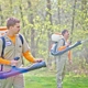 Mosquito Hunters of Chicago
