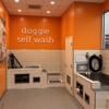 Petco Grooming gallery