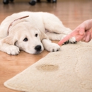 Atlanta Clean Dry L.L.C - Carpet & Rug Cleaners-Water Extraction