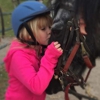 Morning Star Farm Riding Academy & Therapeutic Riding Center gallery