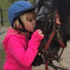 Morning Star Farm Riding Academy & Therapeutic Riding Center