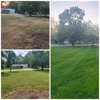 Thrive Lawn Care gallery