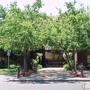 Main Street Pediatric Dentistry and Orthodontics/Danville