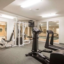 Comfort Inn & Suites East Greenbush-Albany - Motels