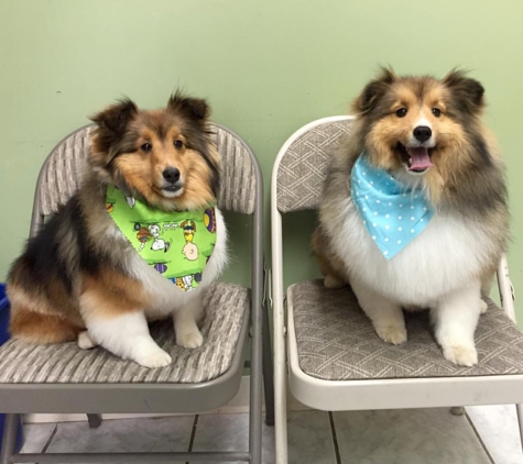 Pupcake Grooming & Dog Bakery - Caldwell, NJ