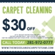 Steam Carpet Cleaning The Woodlands TX