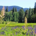 Thousand Trails Leavenworth