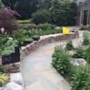 Wildscape Designs - Landscape Designers & Consultants