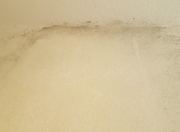 SD Mold Inspection - San Diego, CA