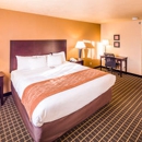 Comfort Inn & Suites Gunnison-Crested Butte - Motels