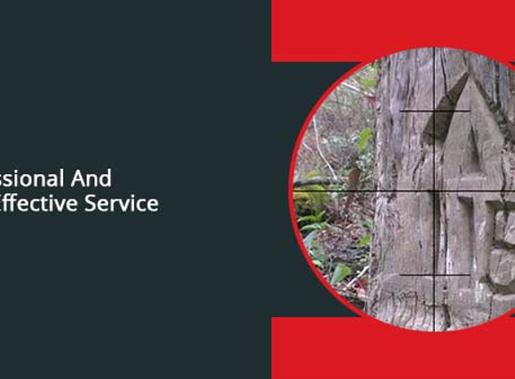 Zenith Surveying Services - Tuncurry, NSW. Professional And Cost-Effective Service
