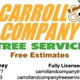 Carroll And Company Tree Service