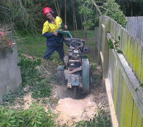 Branching Out Tree Care - Barragup, WA