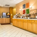 Comfort Inn Binghamton I-81 - Motels