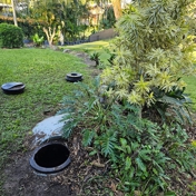 Gallery Image Number 5