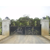 Gallery Image Number 8