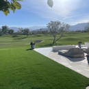 Purchase Green Artificial Grass - Landscape Designers & Consultants
