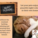 Lucy's Pet Care - Pet Sitting & Exercising Services