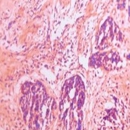 Histo-Tec Laboratory - Pathology Labs
