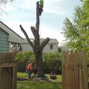 Ginkgo Landscaping And Tree Service - Joliet, IL
