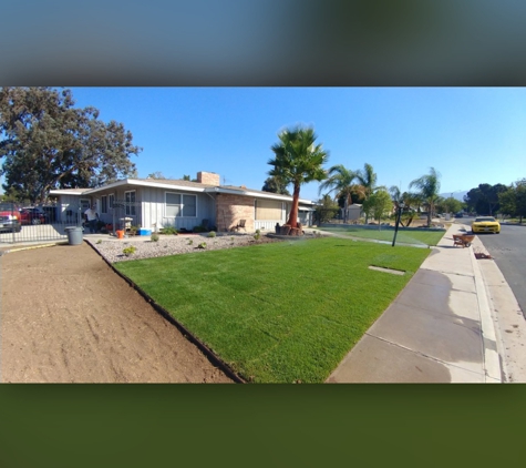 Luis Tree Service & Lawn Maintenance - Corona, CA