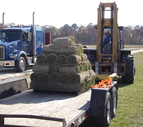 Turf's Up Contracting - Virginia Beach, VA