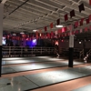 The Royal Palms Shuffleboard Club gallery