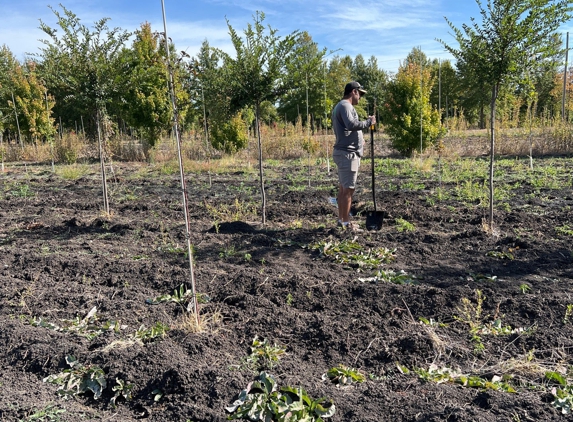 Pierpoint  Tree Farm Inc - Valley Center, KS