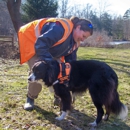 Wildlife Control Long Beach - Animal Removal Services