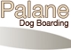 Palane Blue Mountains Dog & Cat Boarding - Cattery