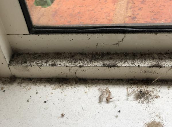 Leon Mancini & Sons Pty Ltd - Altona, VIC. Failure to report upkeep on property resulting in extensive mould damage.