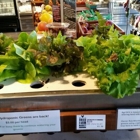 Brick Farm Market