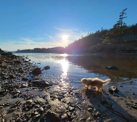 Doe Bay Resort & Retreat - Olga, WA