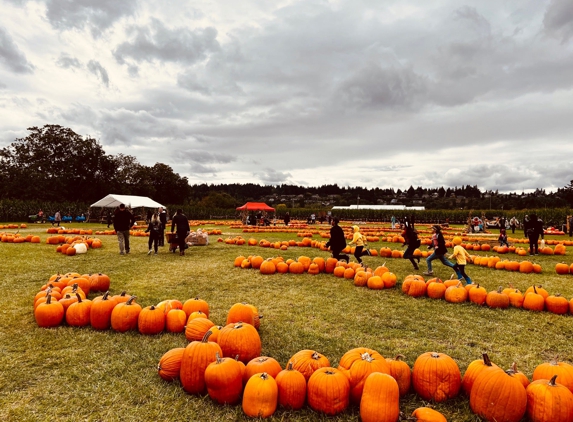 Picha Farms - Puyallup, WA