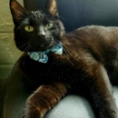 Barta Animal Hospital - Veterinarians