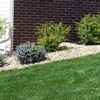 Simply Green Lawn & Tree Care gallery