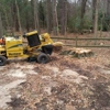 M&M Stump Grinding, LLC gallery