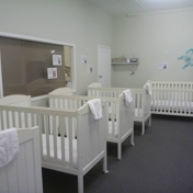 Gallery Image Number 5
